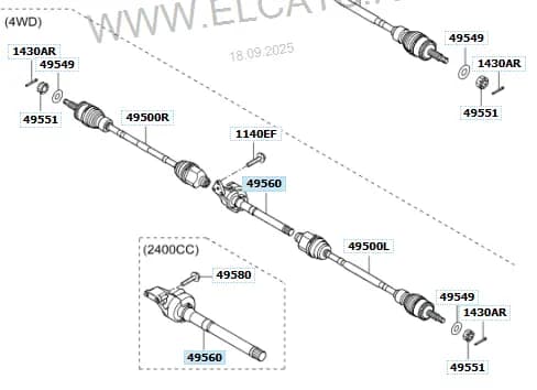 495602S250